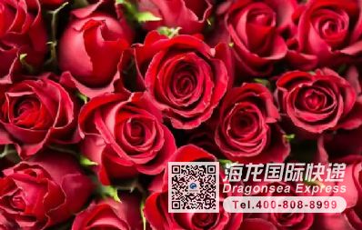 郵寄藥品去法國(guó)哪個(gè)物流便宜？